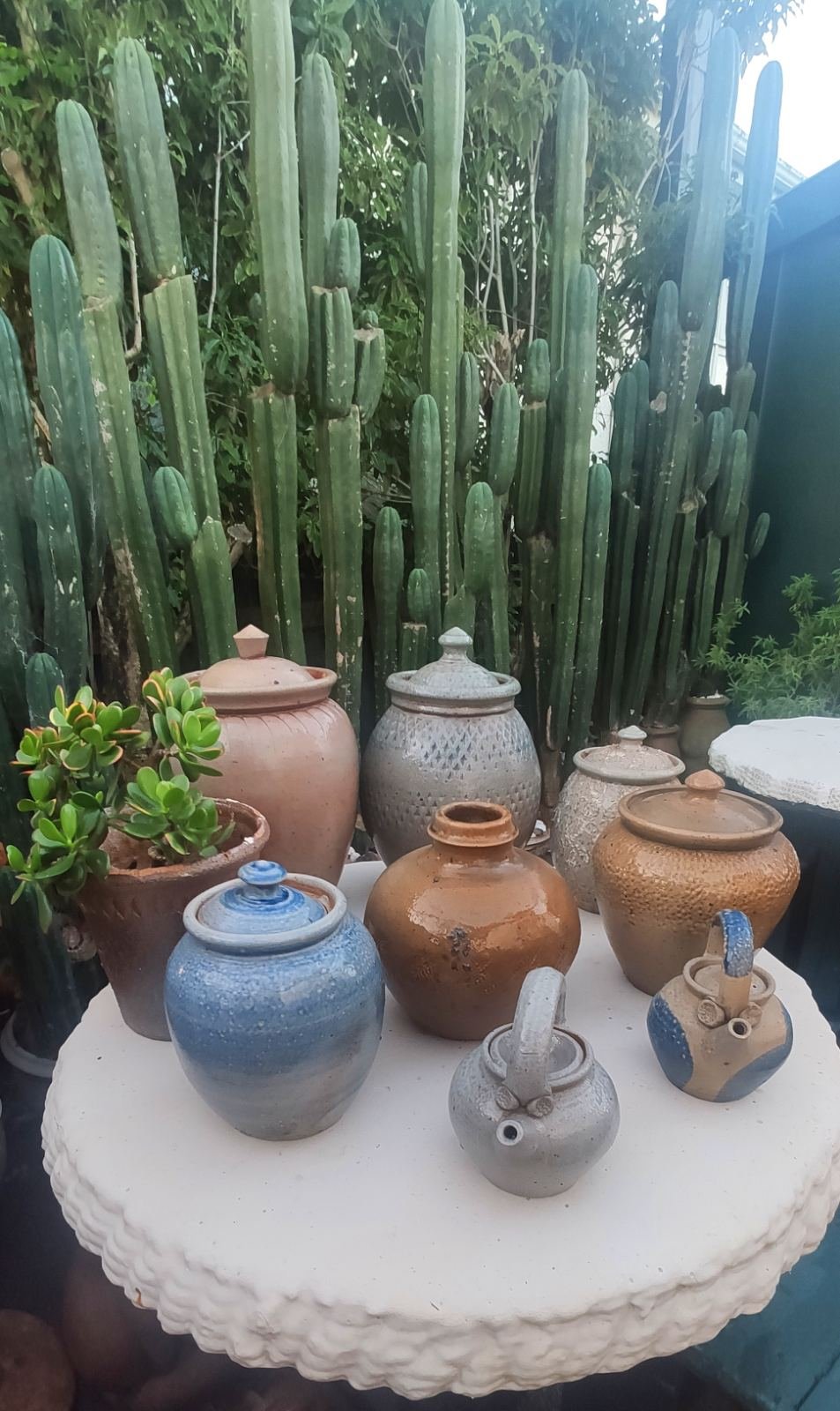 A collection of handmade lidded pottery jars in blue, brown, and grey glazes, displayed on a table in front of tall cacti.