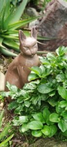 A close-up of a charming, handmade brown clay cat sculpture nestled amongst bright green leaves in the garden.