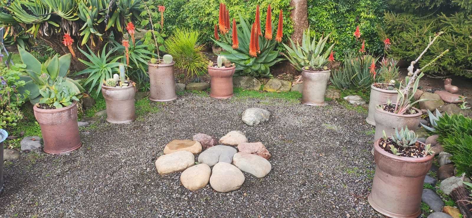 Handmade terracotta-style pots containing succulents and vibrant orange torch aloes, arranged in a gravelled section of the studio garden.