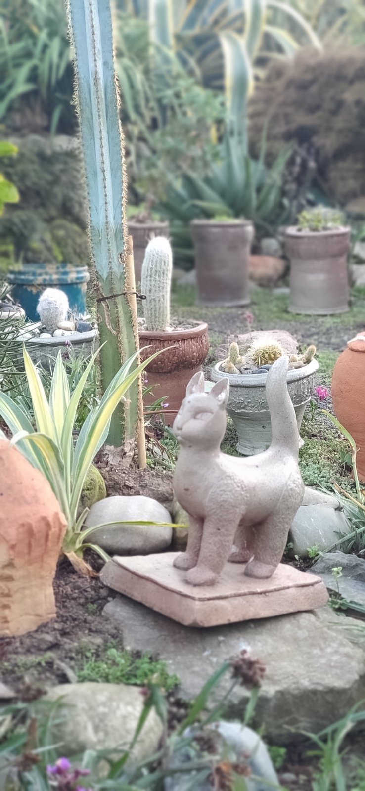 An artistic shot of a handmade clay cat sculpture standing in a gravel and rock garden bed, surrounded by cacti and succulents.